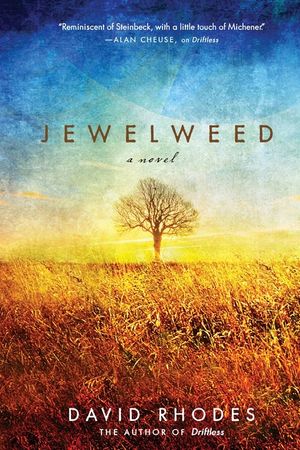 Jewelweed image number 0