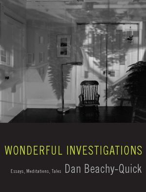 Wonderful Investigations: Essays, Meditations, Tales image number 0