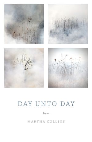Day Unto Day image number 0