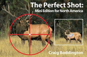 The Perfect Shot: Mini Edition for North America image number 0