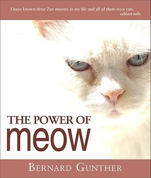 The Power of Meow: From Rumi to Me image number 0
