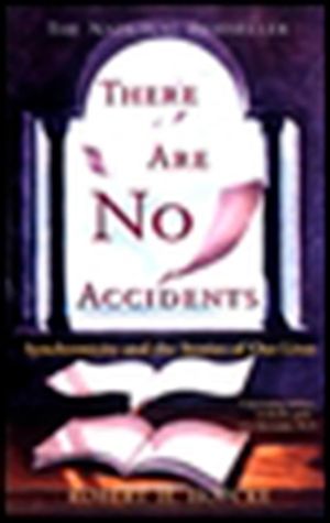 There Are No Accidents: Synchronicity and the Stories of Our Lives image number 0