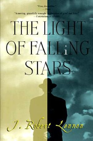The Light of Falling Stars image number 0
