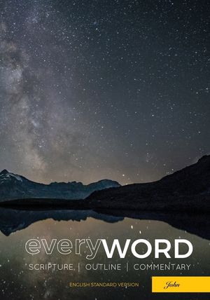 everyWORD: John image number 0