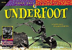 Underfoot image number 0