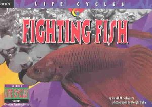 Fighting Fish image number 0