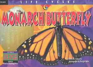 Monarch Butterfly image number 0