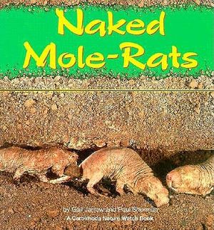 Naked Mole-Rats image number 0