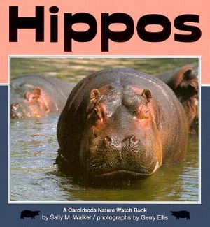 Hippos image number 0