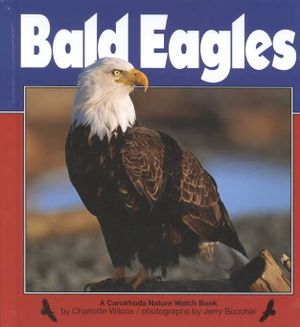 Bald Eagles image number 0
