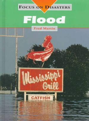 Flood image number 0