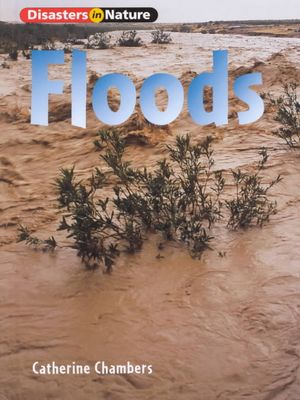 Floods image number 0
