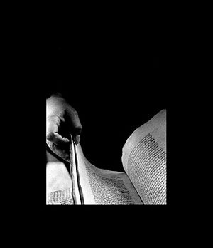 Ex Libris: Photographs and Constructs image number 0