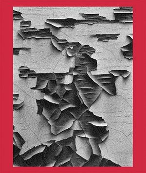 Aaron Siskind 100 image number 0