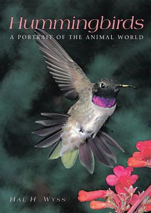 Hummingbirds image number 0
