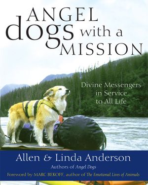 Angel Dogs with a Mission: Divine Messengers in Service to All Life image number 0