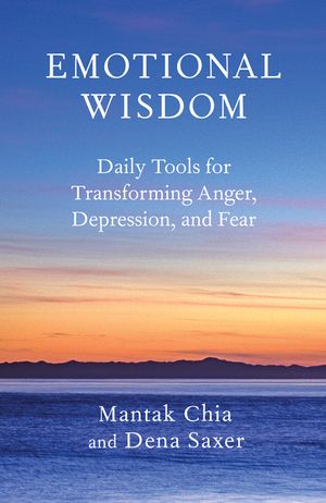 Emotional Wisdom: Daily Tools for Transforming Anger, Depression, and Fear image number 0