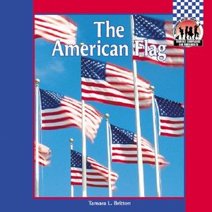 American Flag image number 0