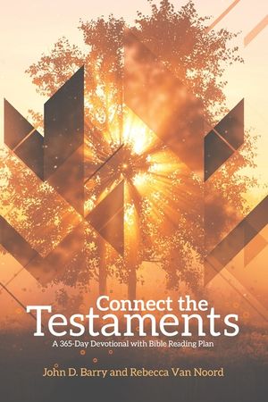 Connect the Testaments: A 365-Day Devotional with Bible Reading Plan image number 0