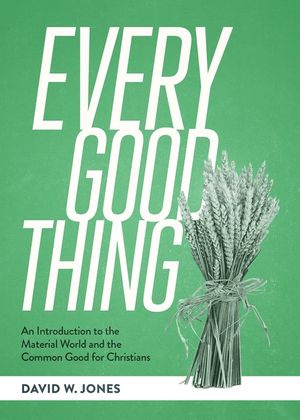 Every Good Thing: An Introduction to the Material World and the Common Good for Christians image number 0