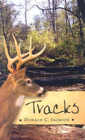 Tracks image number 0
