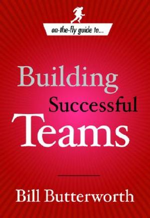 On the Fly Guide To...Building Successful Teams image number 0