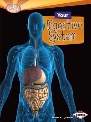 Your Digestive System image number 0