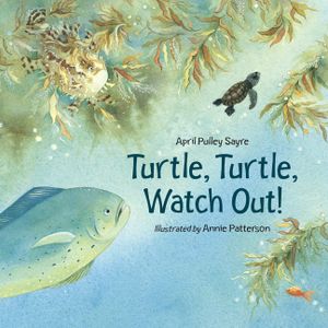 Turtle, Turtle, Watch Out! image number 0