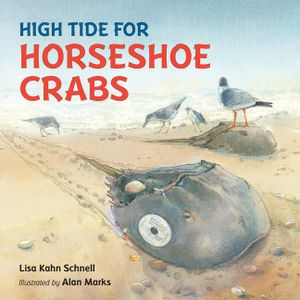 High Tide for Horseshoe Crabs image number 0