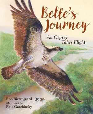 Belle's Journey: An Osprey Takes Flight image number 0