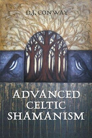 Advanced Celtic Shamanism image number 0