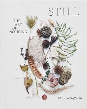Still: The Art of Noticing image number 0