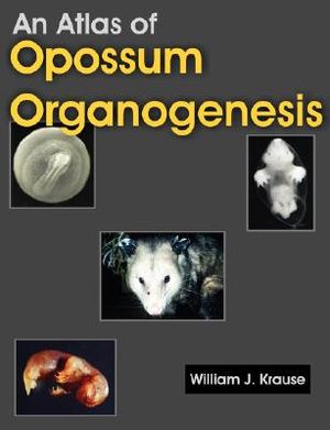 An Atlas of Opossum Organogenesis: Opossum Development image number 0
