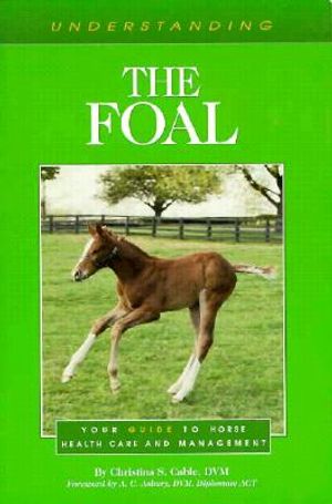 Understanding the Foal image number 0