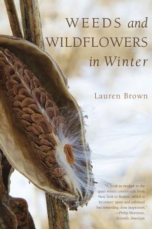 Weeds and Wildflowers in Winter image number 0