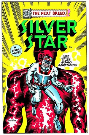 Silver Star: Volume 1 image number 0
