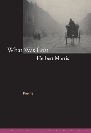 What Was Lost: Poems image number 0