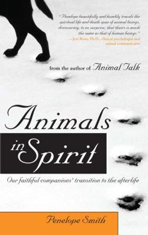 Animals in Spirit: Our Faithful Companions' Transition to the Afterlife image number 0