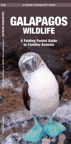 Galapagos Wildlife: An Introduction to Familiar Species image number 0