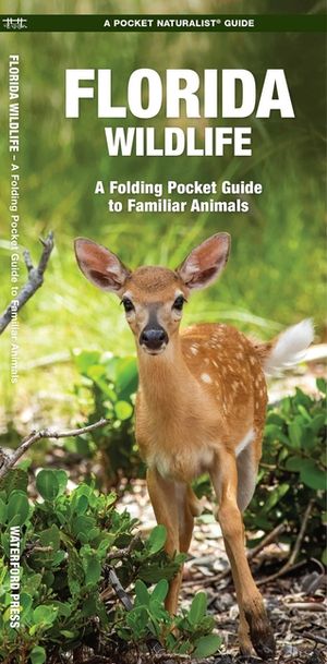 Florida Wildlife: An Introduction to Familiar Species image number 0