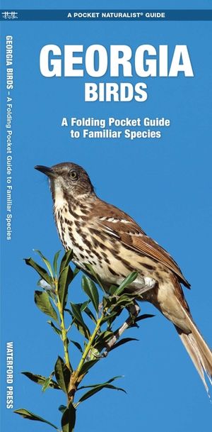 Georgia Birds: An Introduction to Familiar Species image number 0