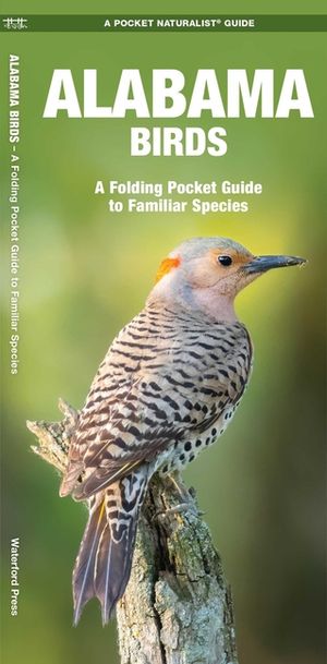 Alabama Birds: An Introduction to Familiar Species image number 0