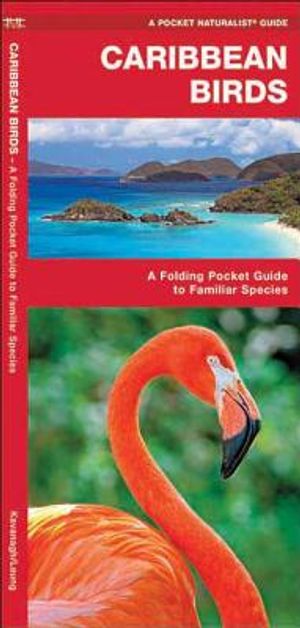 Caribbean Birds: An Introduction to Familiar Species image number 0