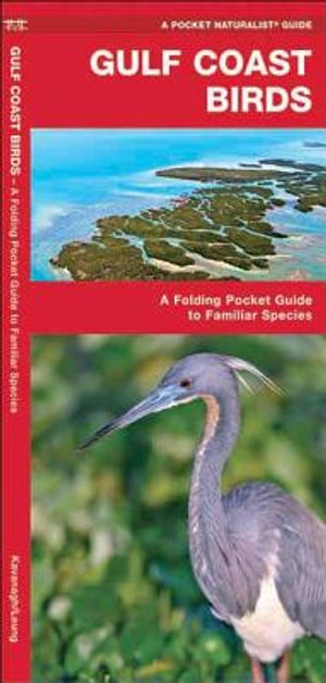 Gulf Coast Birds: An Introduction to Familiar Species image number 0