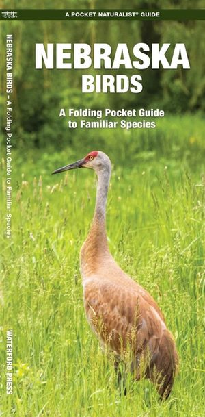 Nebraska Birds: An Introduction to Familiar Species image number 0