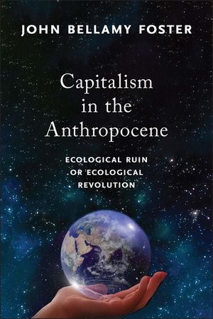 Capitalism in the Anthropocene: Ecological Ruin or Ecological Revolution image number 0