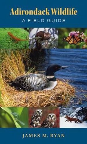 Adirondack Wildlife: A Field Guide image number 0
