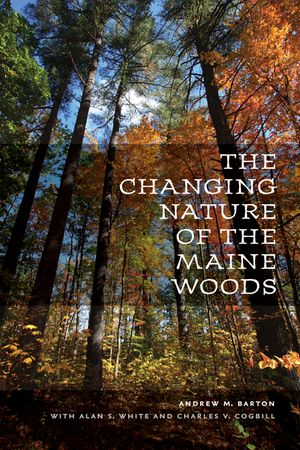 The Changing Nature of the Maine Woods image number 0