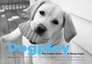 Dogplay: The Canine Guide to Being Happy image number 0