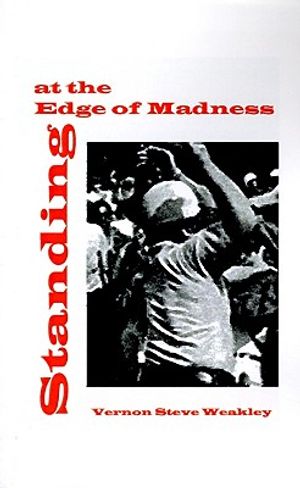 Standing at the Edge of Madness image number 0